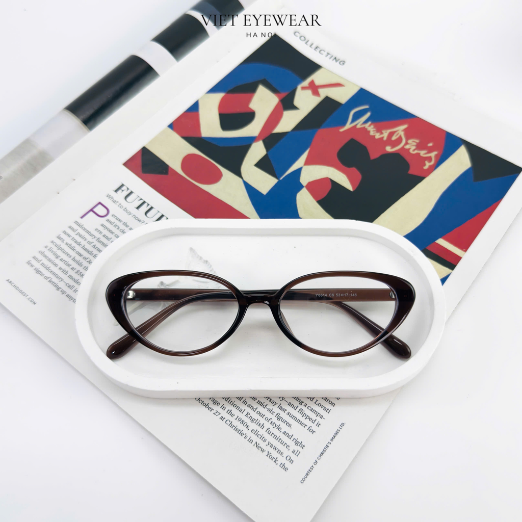 VIET EYEWEAR 6614 Braun