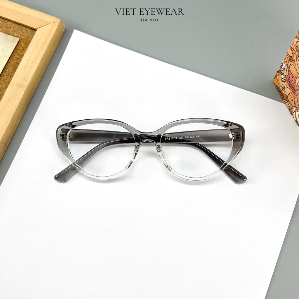 VIET EYEWEAR 81059 Grau
